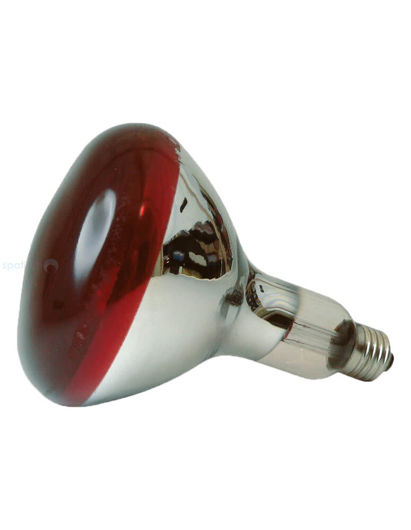 Picture of INFRARED REPLACEMENT BULB